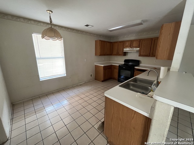 Image 10 of 16 For 8006 Avellano