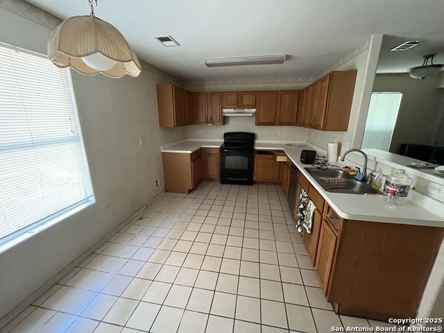 Image 15 of 16 For 8006 Avellano