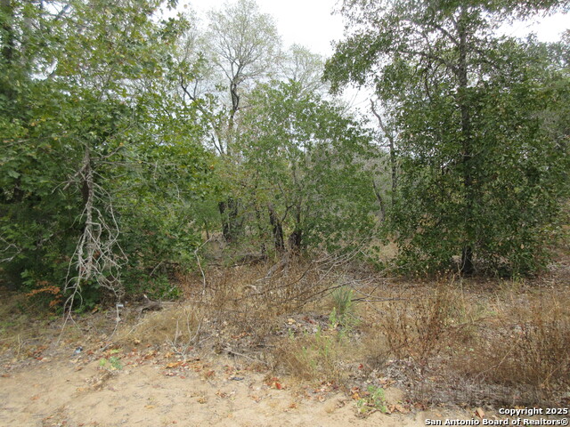 Image 5 of 12 For 22965 Addison