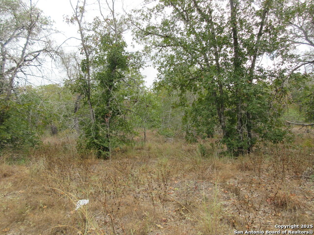 Image 6 of 12 For 22965 Addison