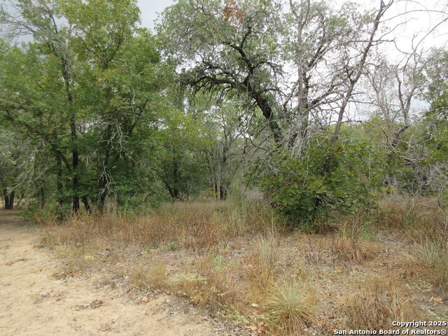 Image 7 of 12 For 22965 Addison