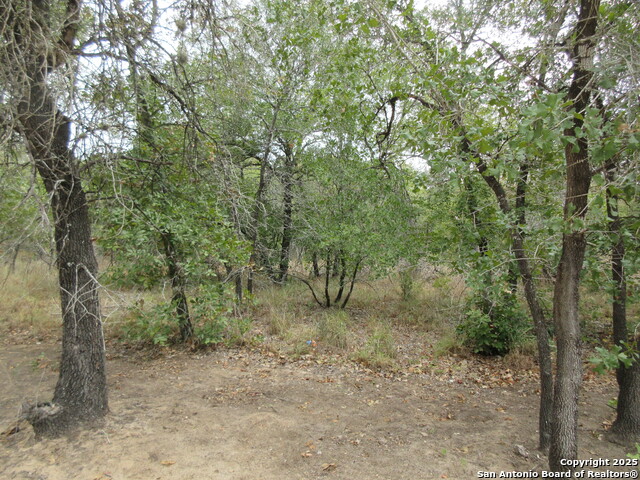 Image 8 of 12 For 22965 Addison