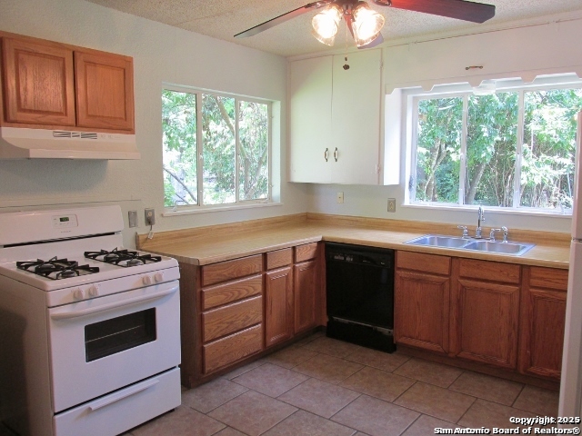 Image 7 of 26 For 213 Arvin