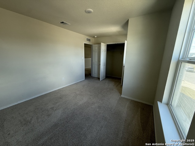 Image 13 of 13 For 1325 Black Balsam