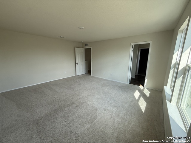 Image 5 of 13 For 1325 Black Balsam