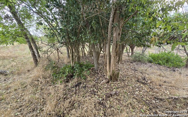 Image 6 of 16 For 301 Caney Creek