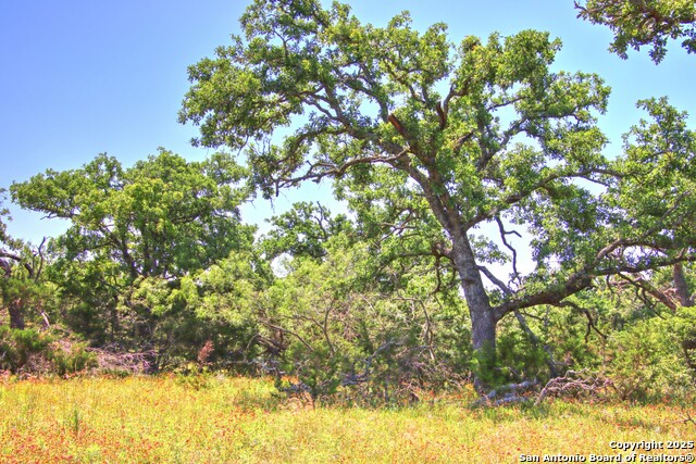 Image 14 of 24 For Lot 6 Rr 1323