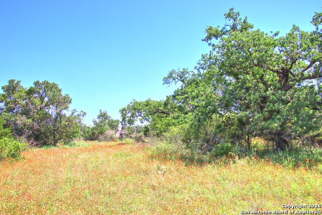 Image 15 of 24 For Lot 6 Rr 1323