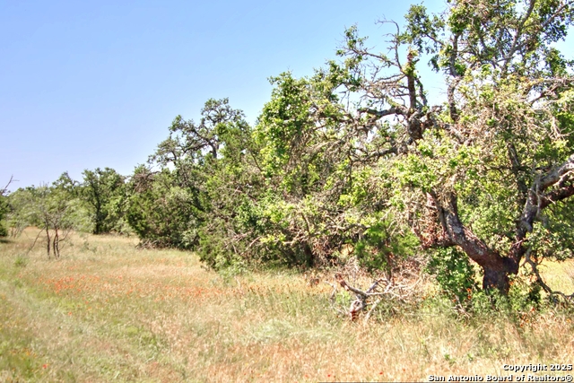 Image 18 of 24 For Lot 6 Rr 1323