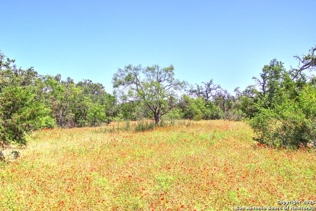 Image 20 of 24 For Lot 6 Rr 1323