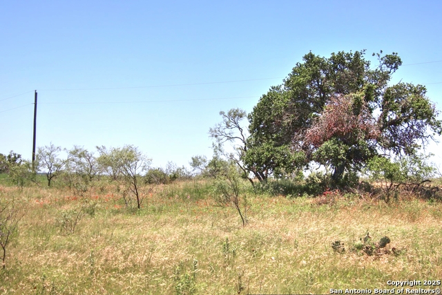 Image 22 of 24 For Lot 6 Rr 1323