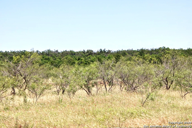 Image 23 of 24 For Lot 6 Rr 1323