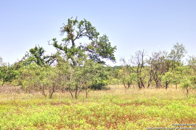 Image 24 of 24 For Lot 6 Rr 1323