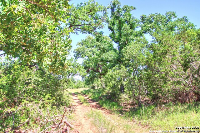 Image 4 of 24 For Lot 6 Rr 1323