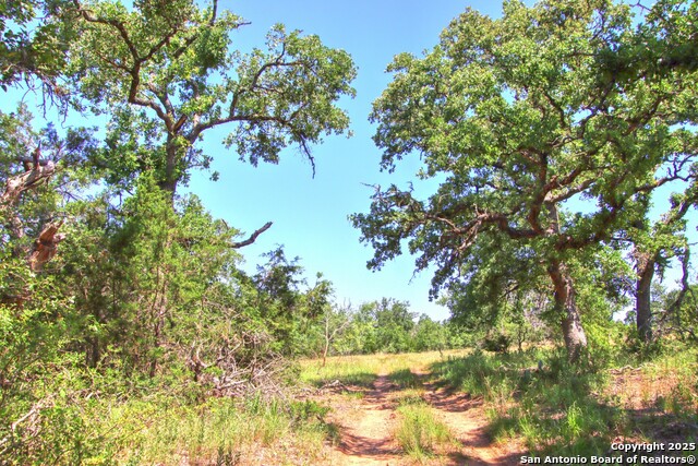 Image 5 of 24 For Lot 6 Rr 1323