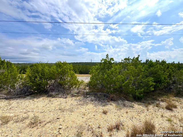 Listing photo id 8 for 2085 Fm 484