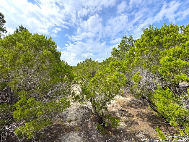 Listing photo id 10 for 2085 Fm 484
