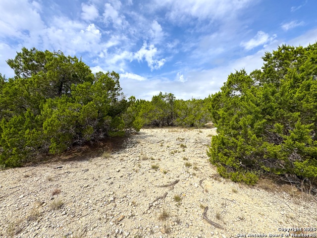 Listing photo id 11 for 2085 Fm 484
