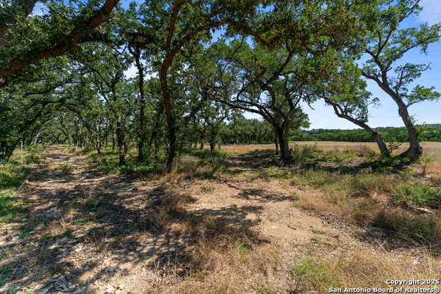 Image 13 of 24 For 1131 Adyson Ridge