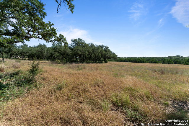 Image 20 of 24 For 1131 Adyson Ridge