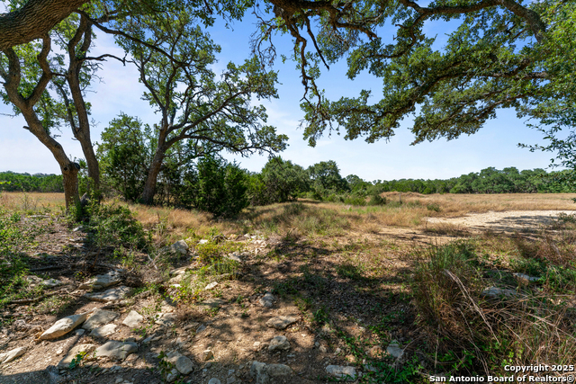 Image 3 of 24 For 1131 Adyson Ridge