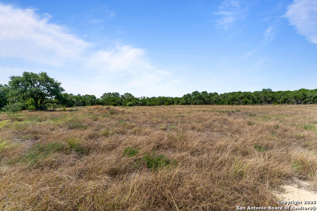 Image 5 of 24 For 1131 Adyson Ridge