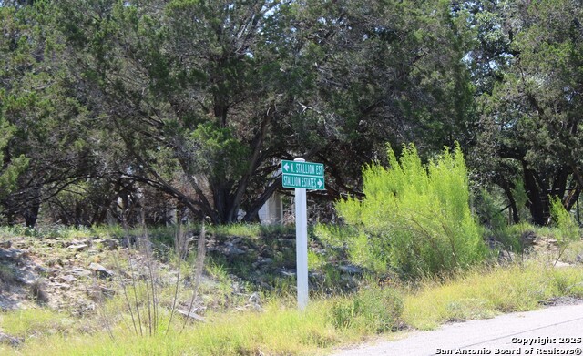 Image 3 of 17 For 000 Stallion Estates Drive N