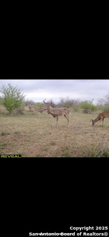 Listing photo id 1 for Tbd Us-181  