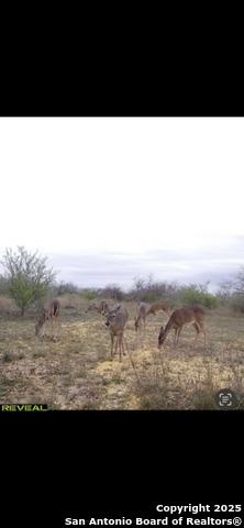 Listing photo id 3 for Tbd Us-181  