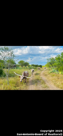 Listing photo id 4 for Tbd Us-181  