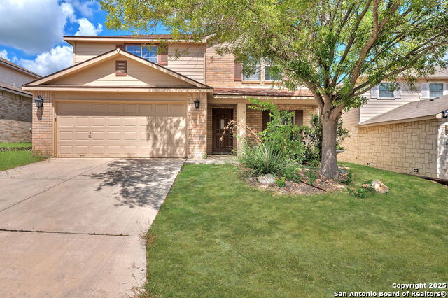 Image 3 of 38 For 12707 Gold Spaniard