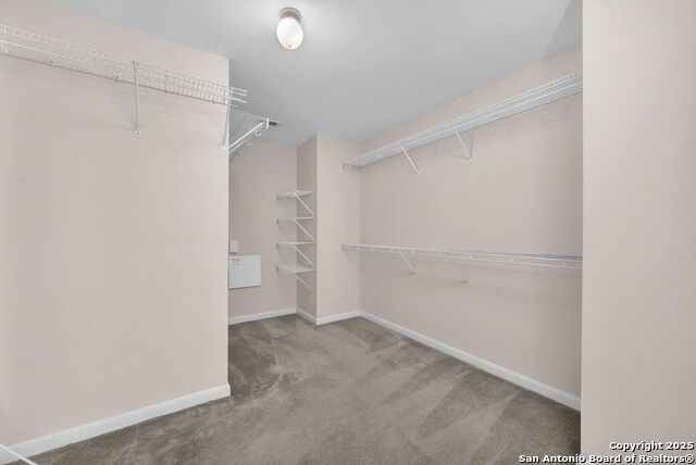 Image 32 of 38 For 12707 Gold Spaniard