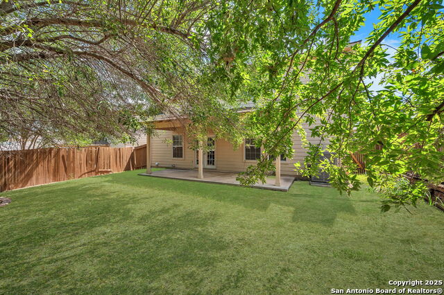 Image 35 of 38 For 12707 Gold Spaniard