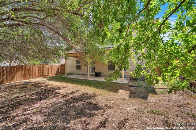 Image 36 of 38 For 12707 Gold Spaniard