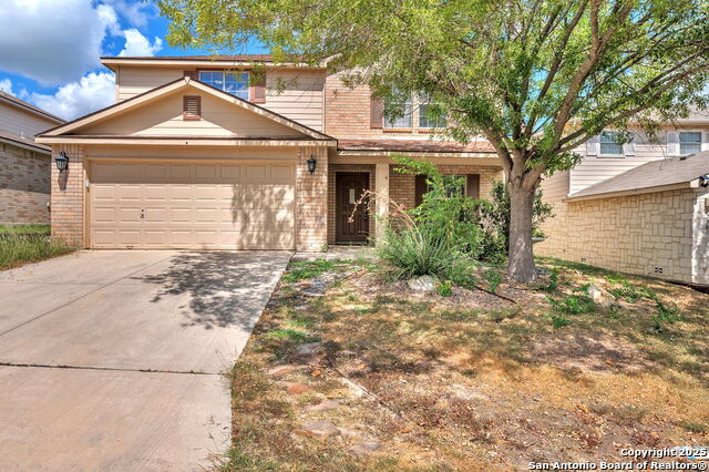 Image 4 of 38 For 12707 Gold Spaniard