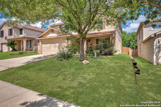 Image 5 of 38 For 12707 Gold Spaniard