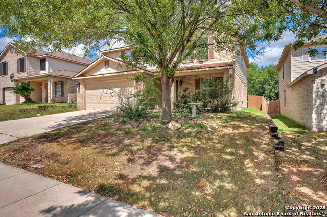 Image 6 of 38 For 12707 Gold Spaniard