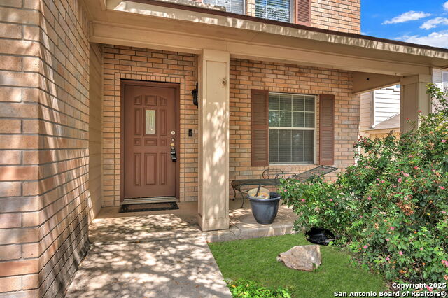 Image 7 of 38 For 12707 Gold Spaniard