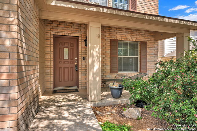 Image 8 of 38 For 12707 Gold Spaniard