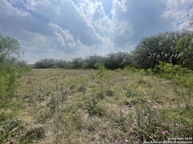 Listing photo id 8 for Lot 31 Utopia Forest