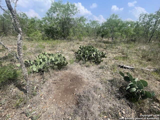 Listing photo id 9 for Lot 31 Utopia Forest