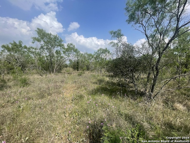 Listing photo id 10 for Lot 31 Utopia Forest