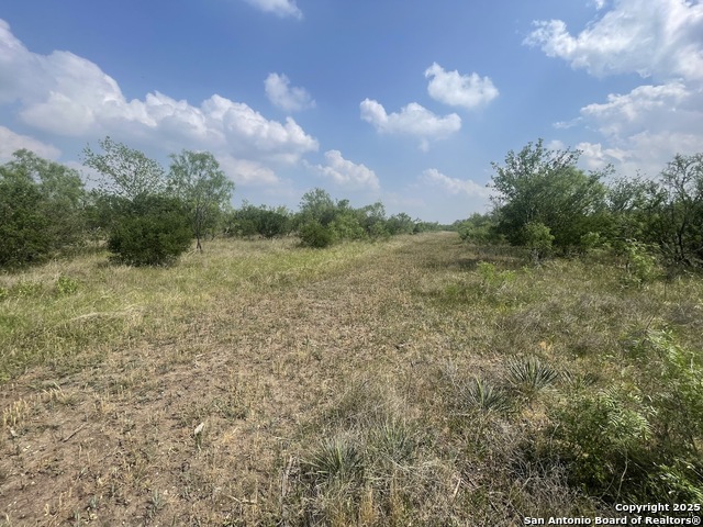Listing photo id 11 for Lot 31 Utopia Forest