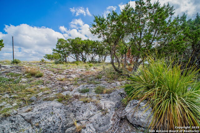 Image 8 of 25 For 0 Oryx Trail