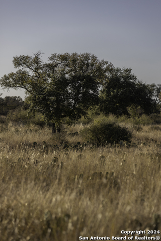 Details for Tbd W Rr 962, Round Mountain, TX 78663