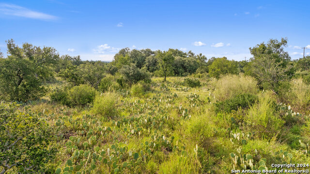 Image 17 of 34 For Tbd W Rr 962