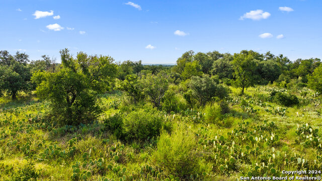 Image 18 of 34 For Tbd W Rr 962