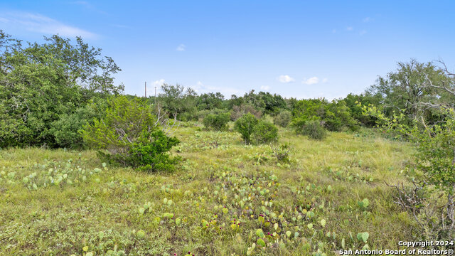 Image 21 of 34 For Tbd W Rr 962