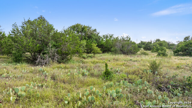 Image 22 of 34 For Tbd W Rr 962