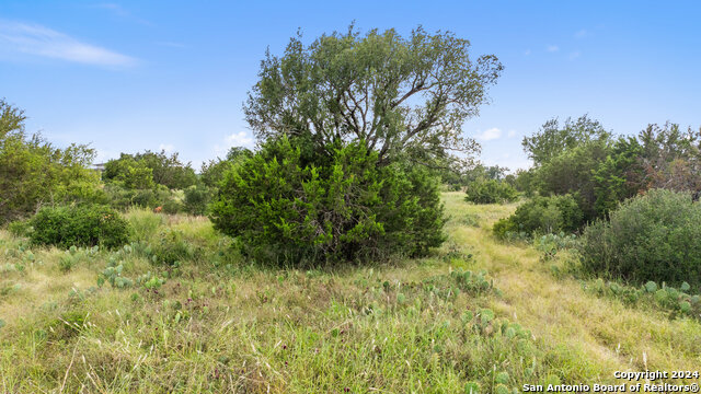 Image 23 of 34 For Tbd W Rr 962